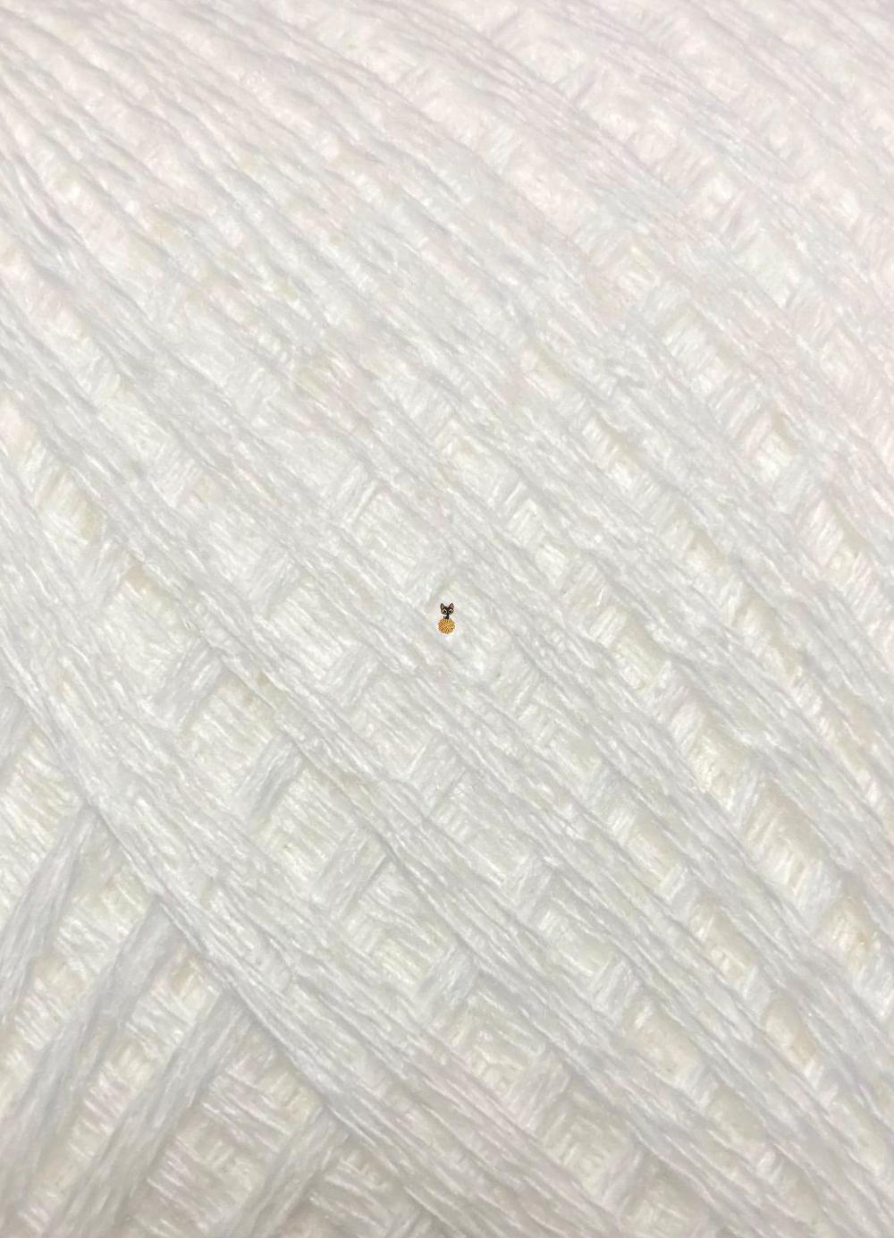 Слонимская пряжа Хлопок/ПАН  | белый